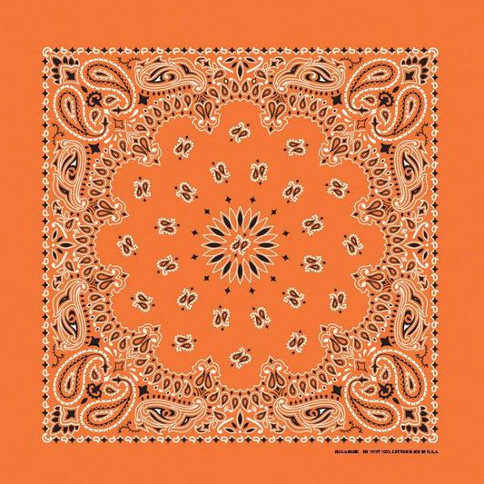 Orange Paisley Print Bandana