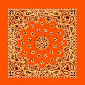 Neon Orange Paisley Bandana