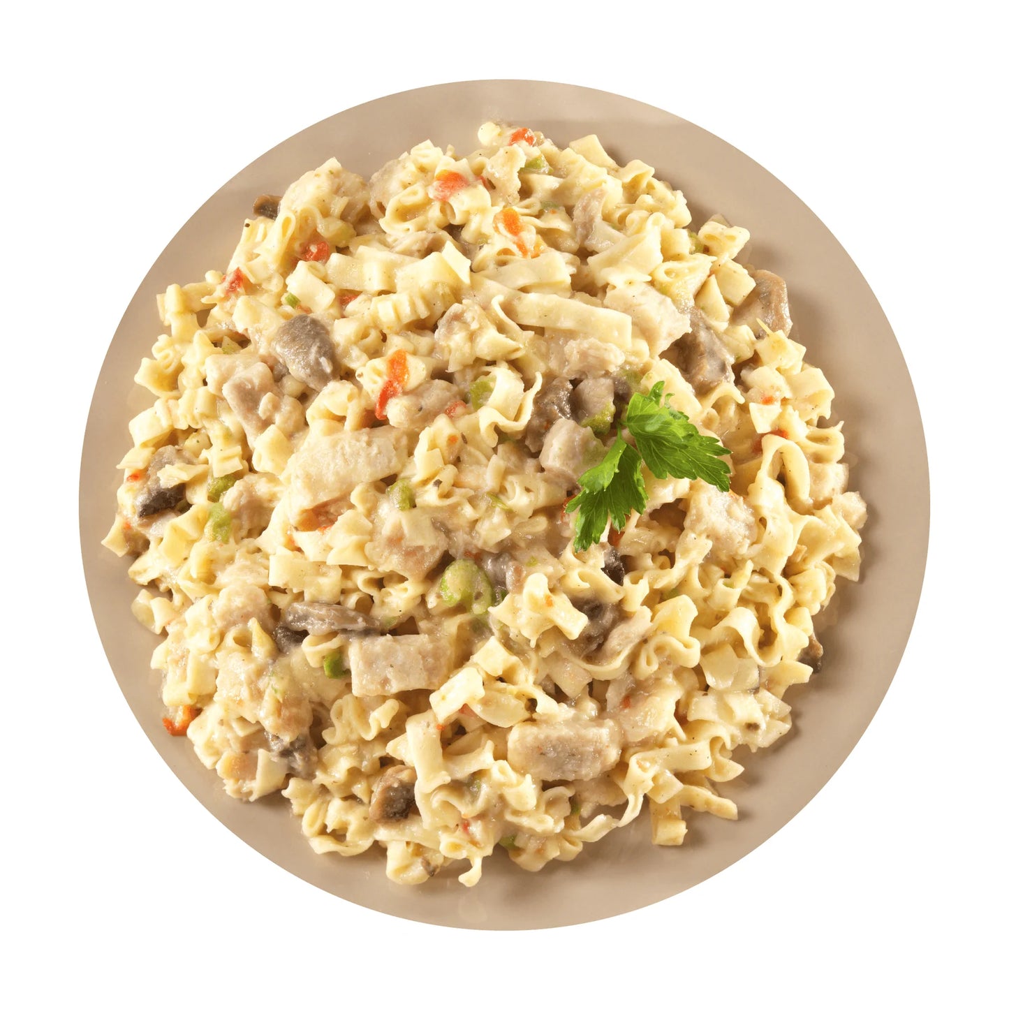 Mountain House #10 Can MRE | Chicken Noodle Casserole