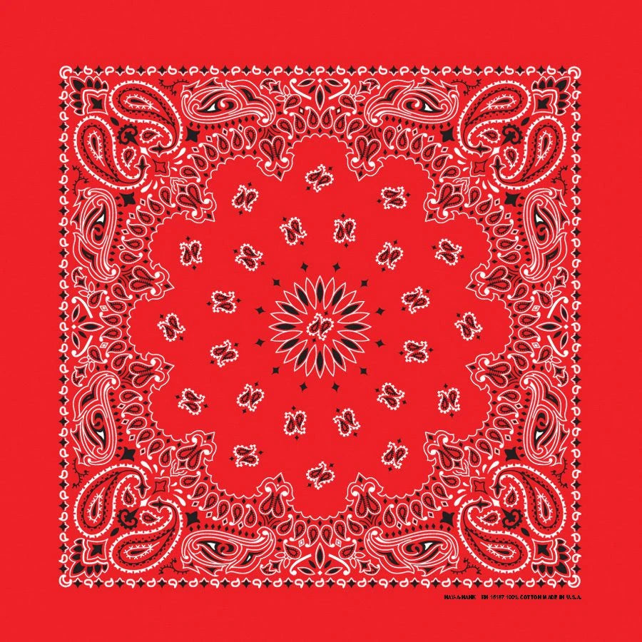 Red Paisley Print Bandana
