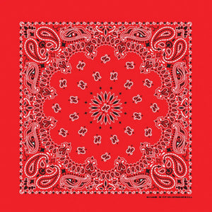Red Paisley Print Bandana