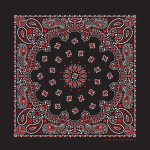 Black / Red Paisley Print Bandana