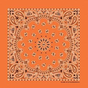 Orange Paisley Print Bandana