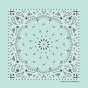 Mint Green Paisley Print Bandana