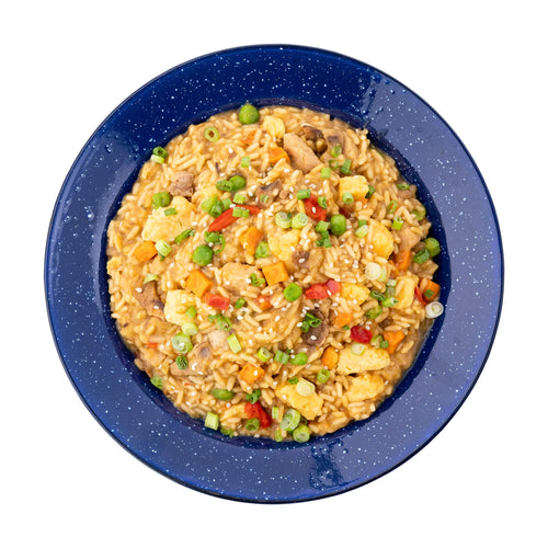 Chicken Fried Rice MRE Pouch | Mountain House – Army Navy Marine Store