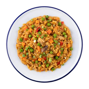 Chicken Teriyaki with Rice MRE Pouch | Mountain House