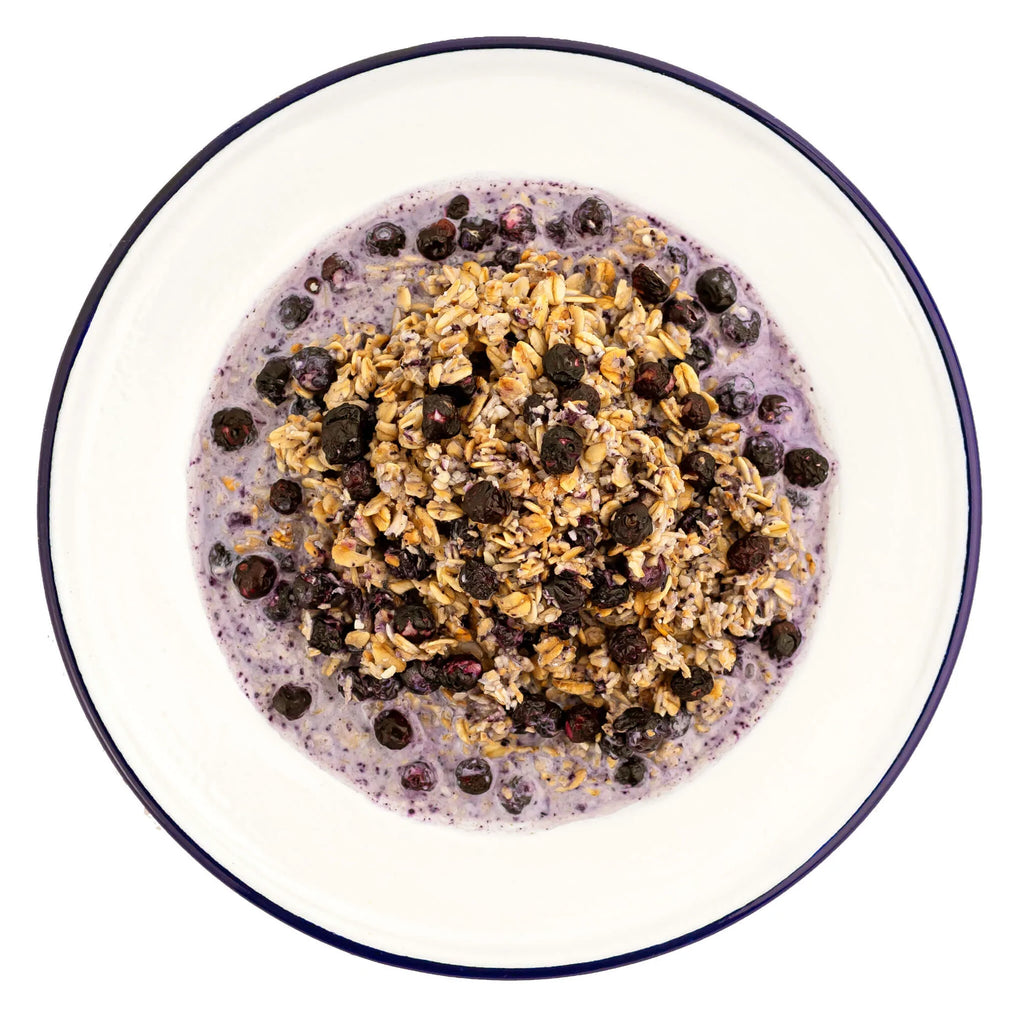Mountain House #10 Can MRE | Granola with Milk & Blueberries