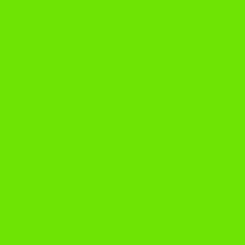 Lime Green Solid Color Bandana